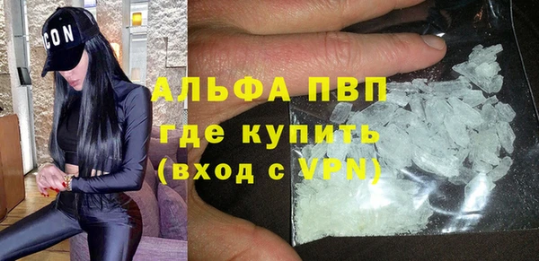 a pvp Белокуриха